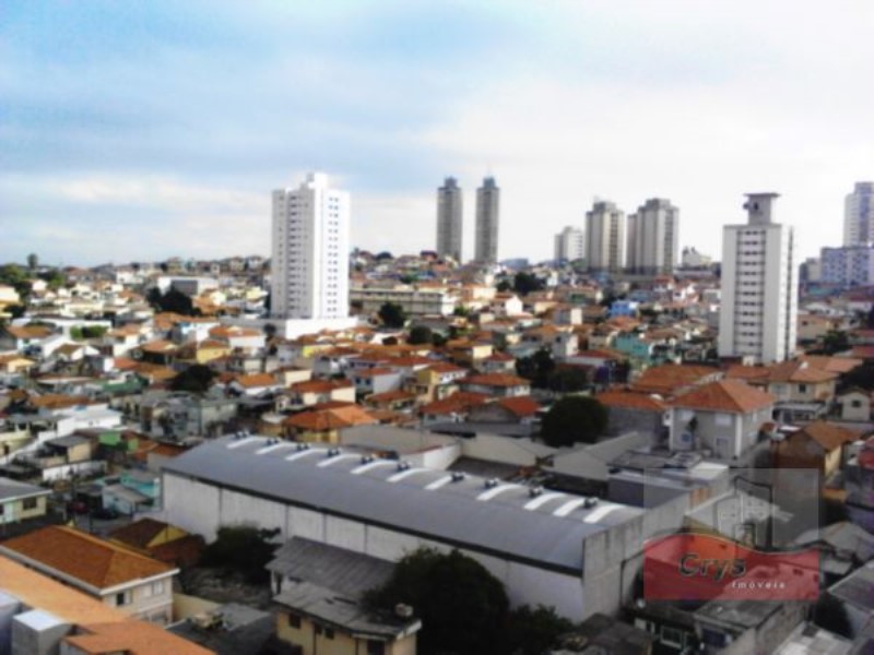 Apartamento, 3 quartos - Foto 5