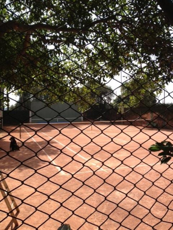 Casa, 3 quartos - Foto 16