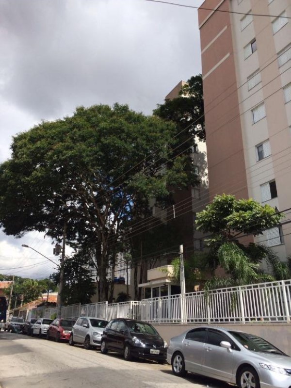 Apartamento, 3 quartos, 55 m² - Foto 1