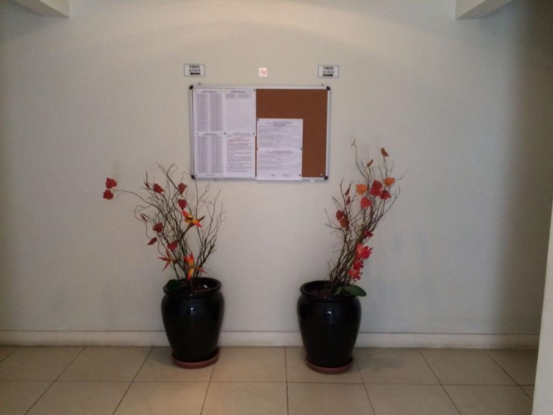 Apartamento, 3 quartos, 55 m² - Foto 12