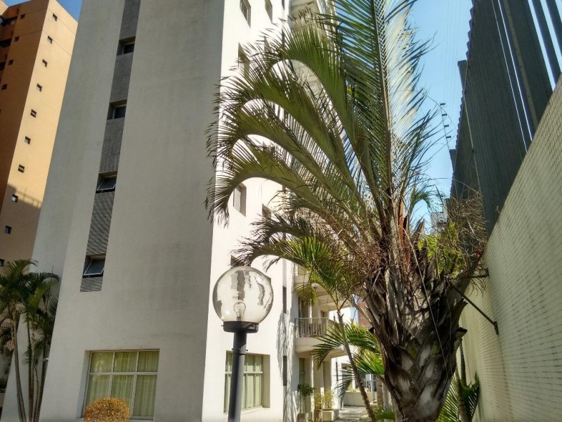 Apartamento, 3 quartos, 100 m² - Foto 26