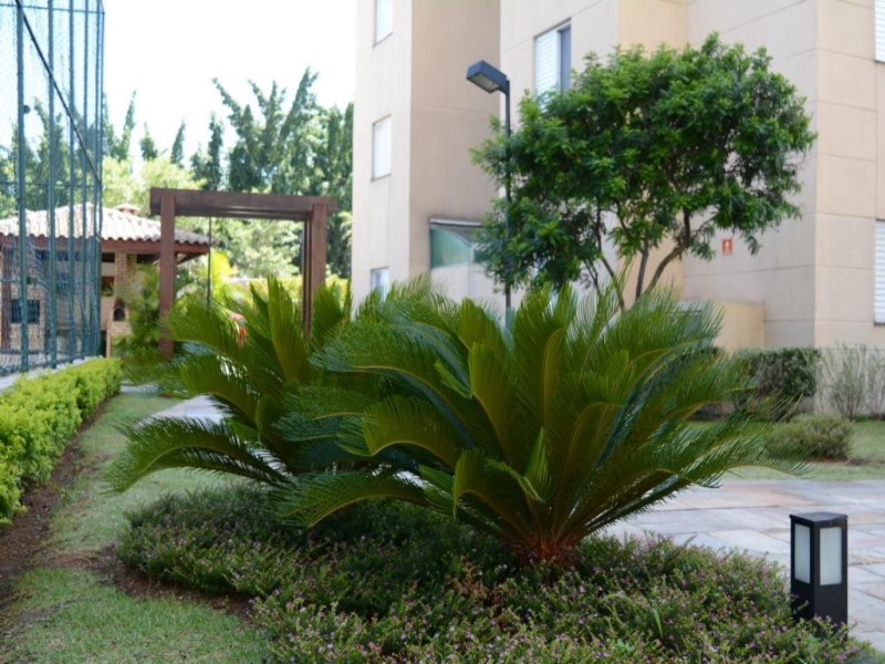 Apartamento, 3 quartos, 62 m² - Foto 11