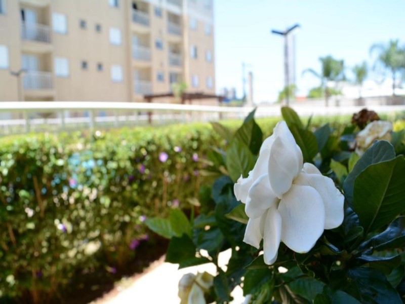 Apartamento, 3 quartos, 62 m² - Foto 12