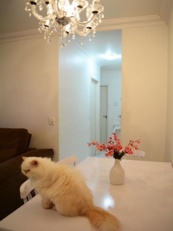 Apartamento, 3 quartos, 62 m² - Foto 23