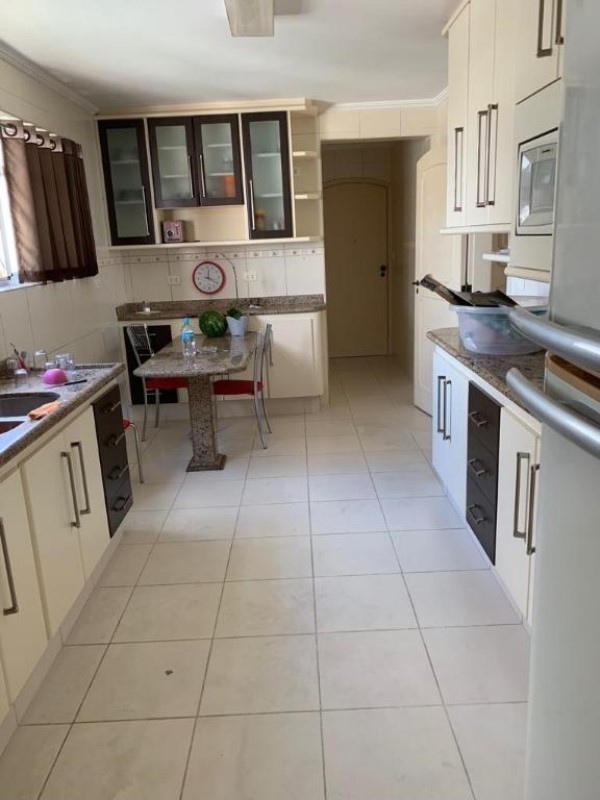 Cobertura, 4 quartos, 240 m² - Foto 7