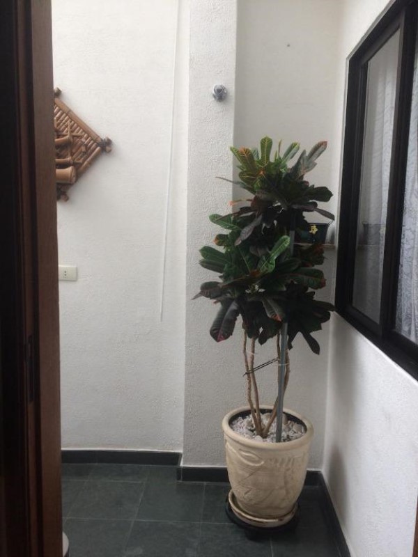 Casa, 3 quartos, 140 m² - Foto 21