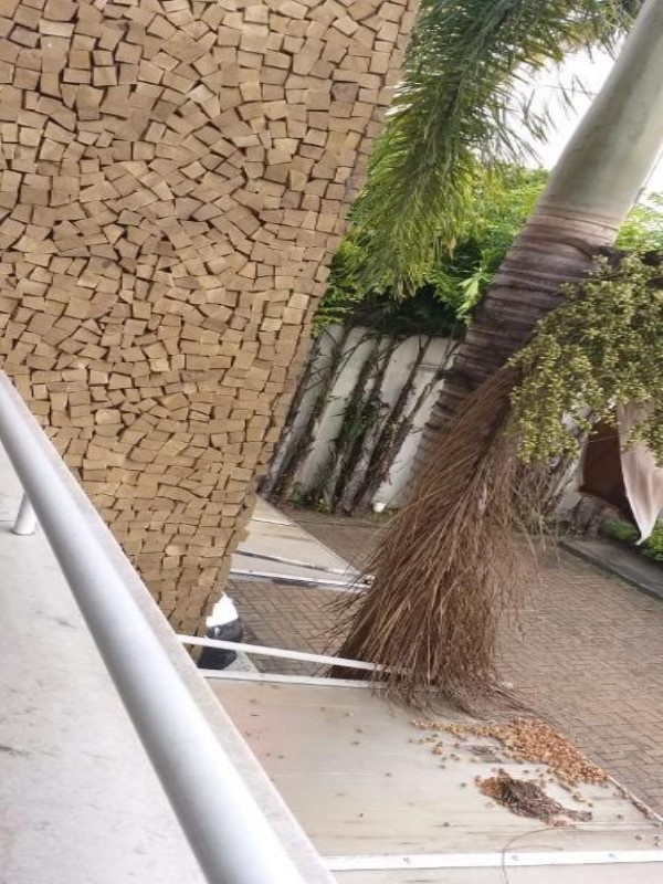 Casa, 4 quartos, 300 m² - Foto 17