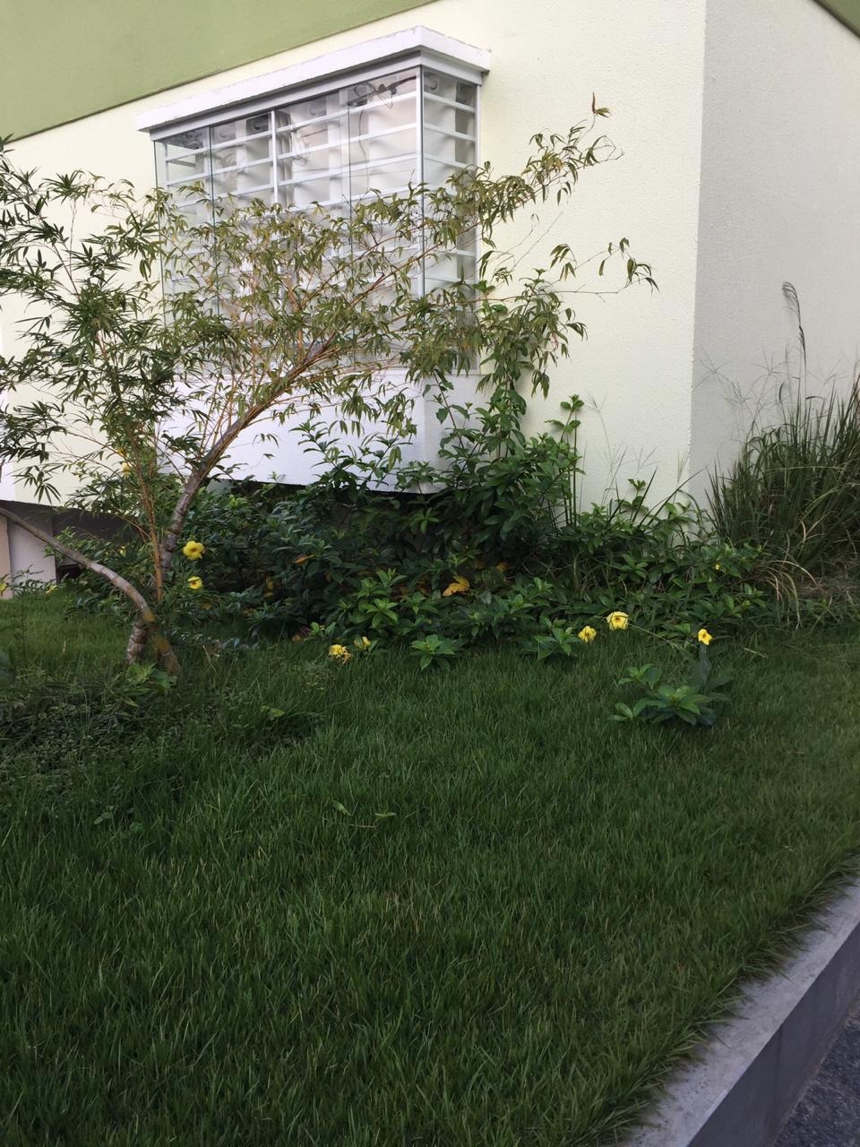 Casa, 2 quartos, 62 m² - Foto 4