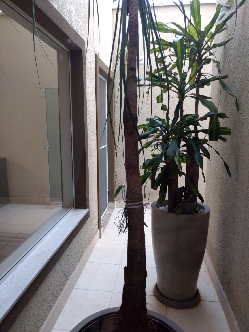 Casa, 3 quartos, 242 m² - Foto 14