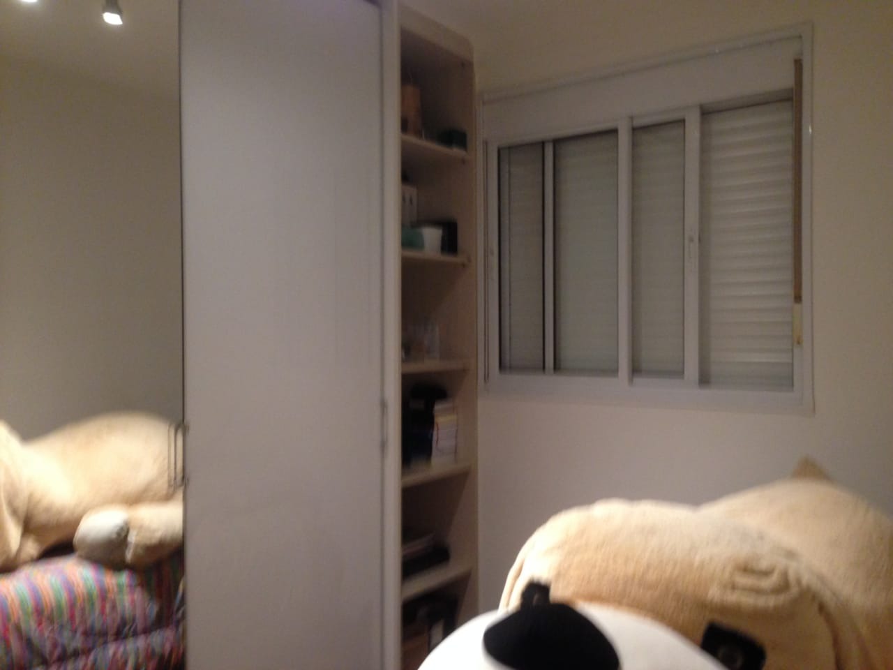 Apartamento, 3 quartos, 68 m² - Foto 12