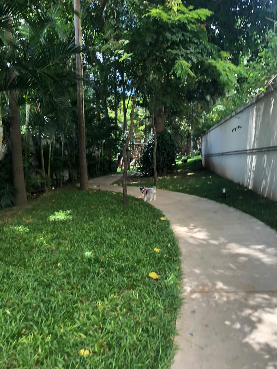 Apartamento, 3 quartos, 189 m² - Foto 23