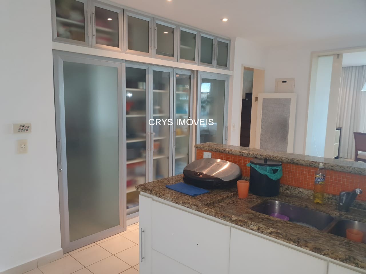 Casa, 4 quartos, 570 m² - Foto 4