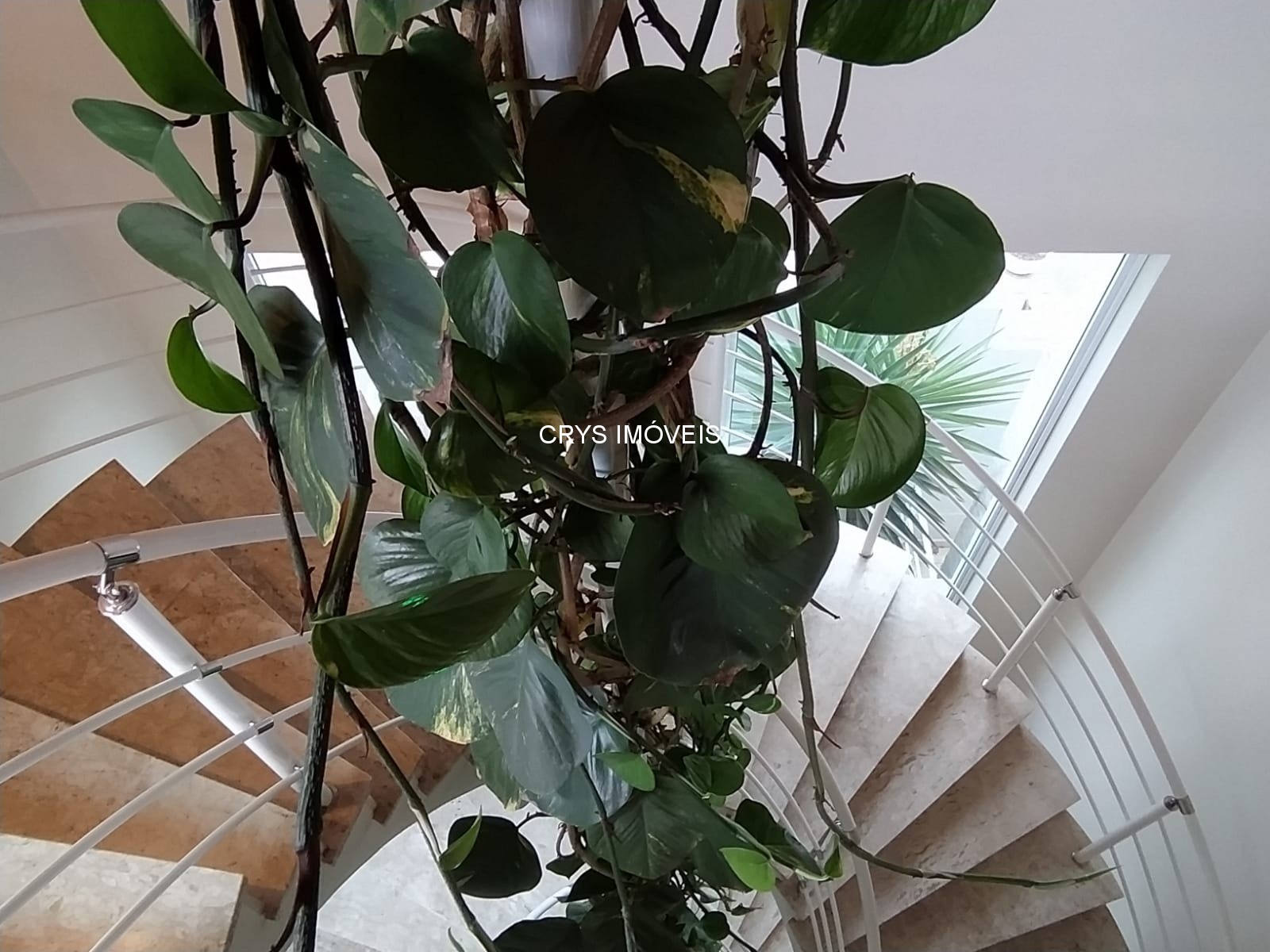 Casa, 4 quartos, 467 m² - Foto 12