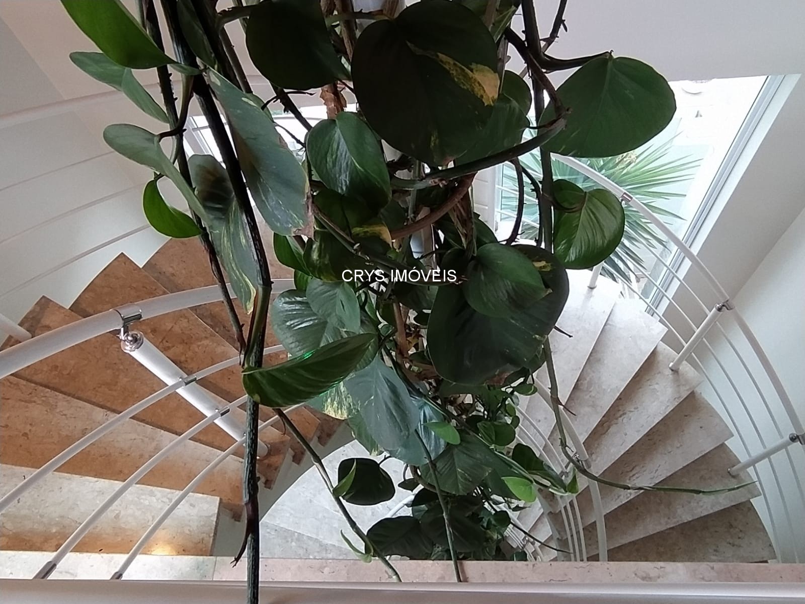 Casa, 4 quartos, 467 m² - Foto 73