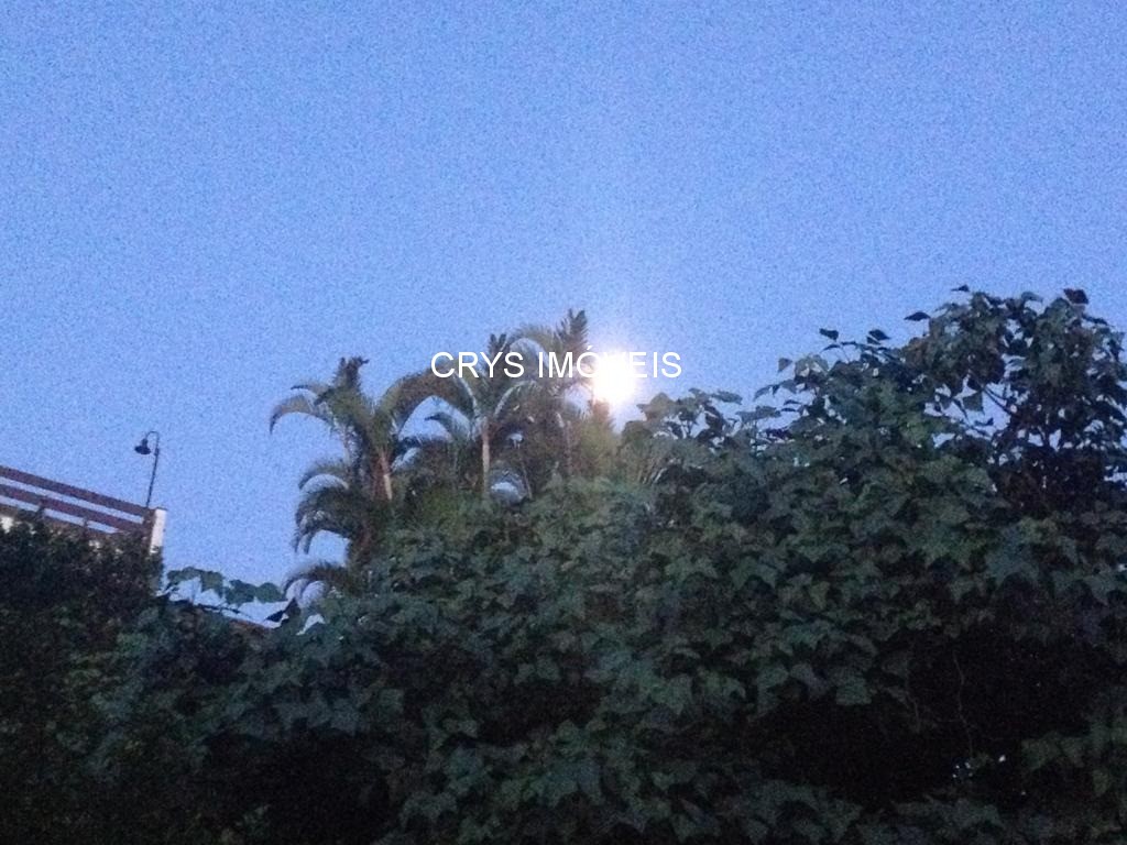 Casa, 4 quartos, 522 m² - Foto 38