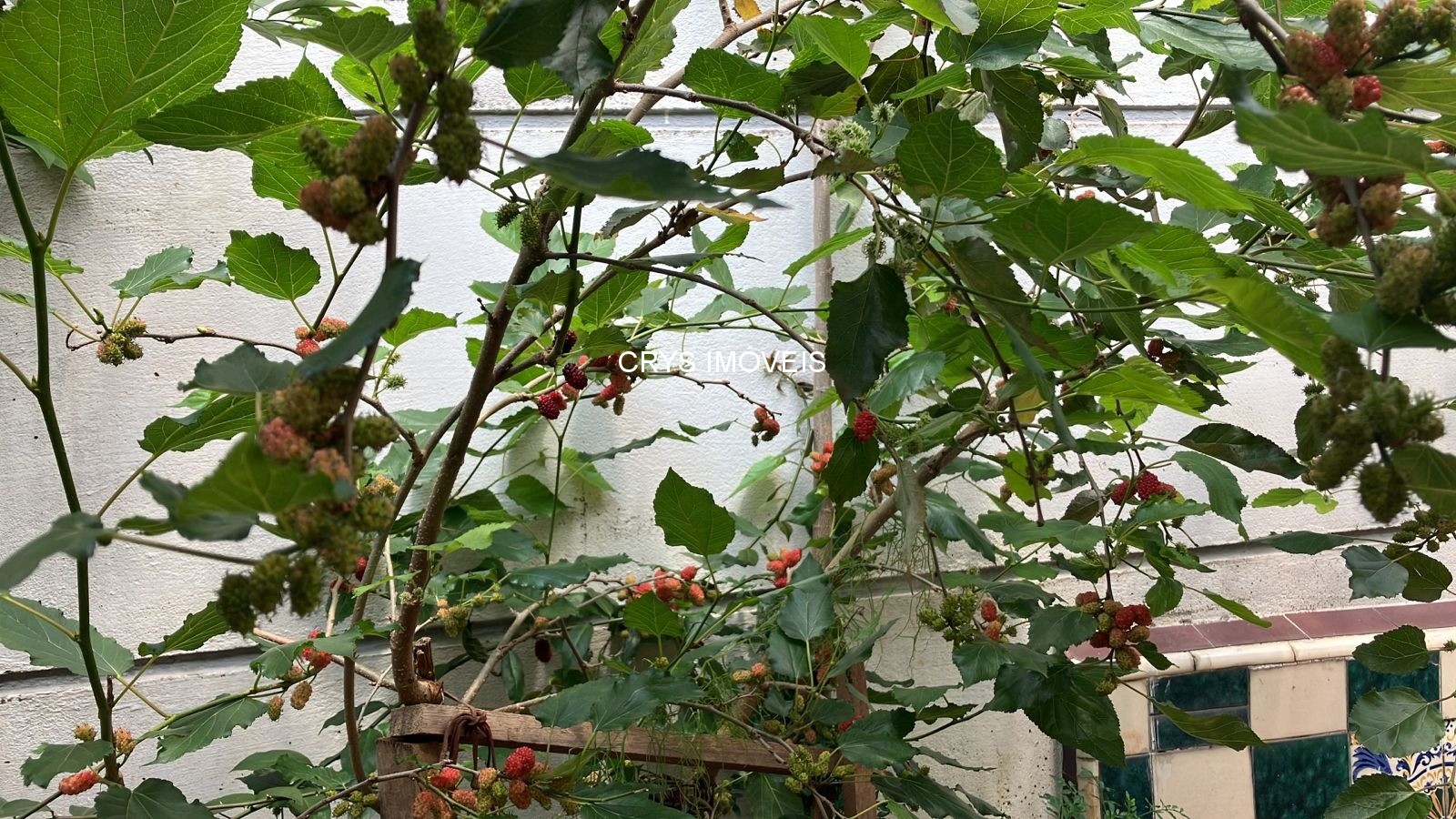 Casa, 3 quartos, 70 m² - Foto 12