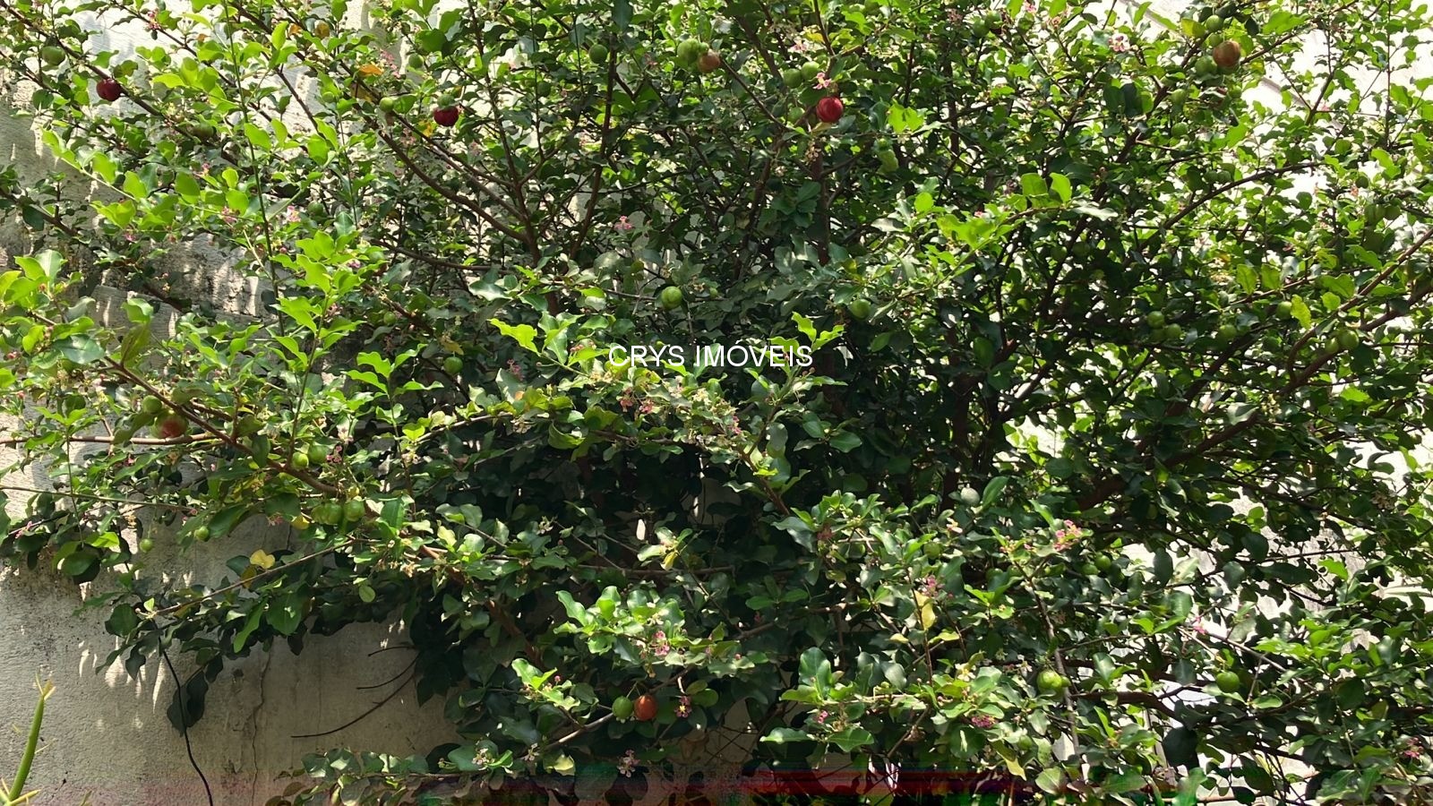 Casa, 3 quartos, 70 m² - Foto 5