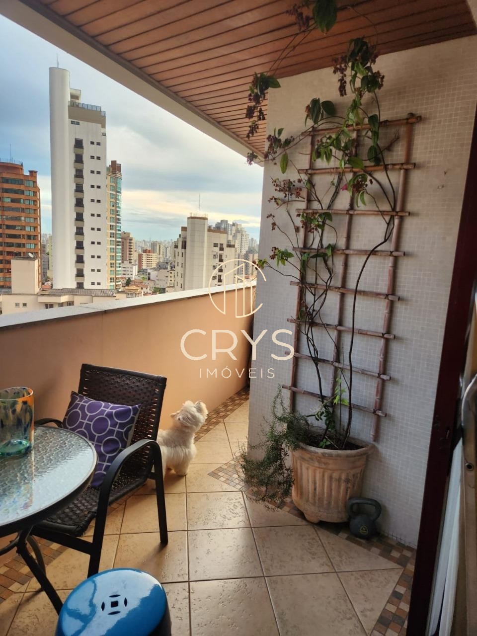 Apartamento, 3 quartos, 110 m² - Foto 5