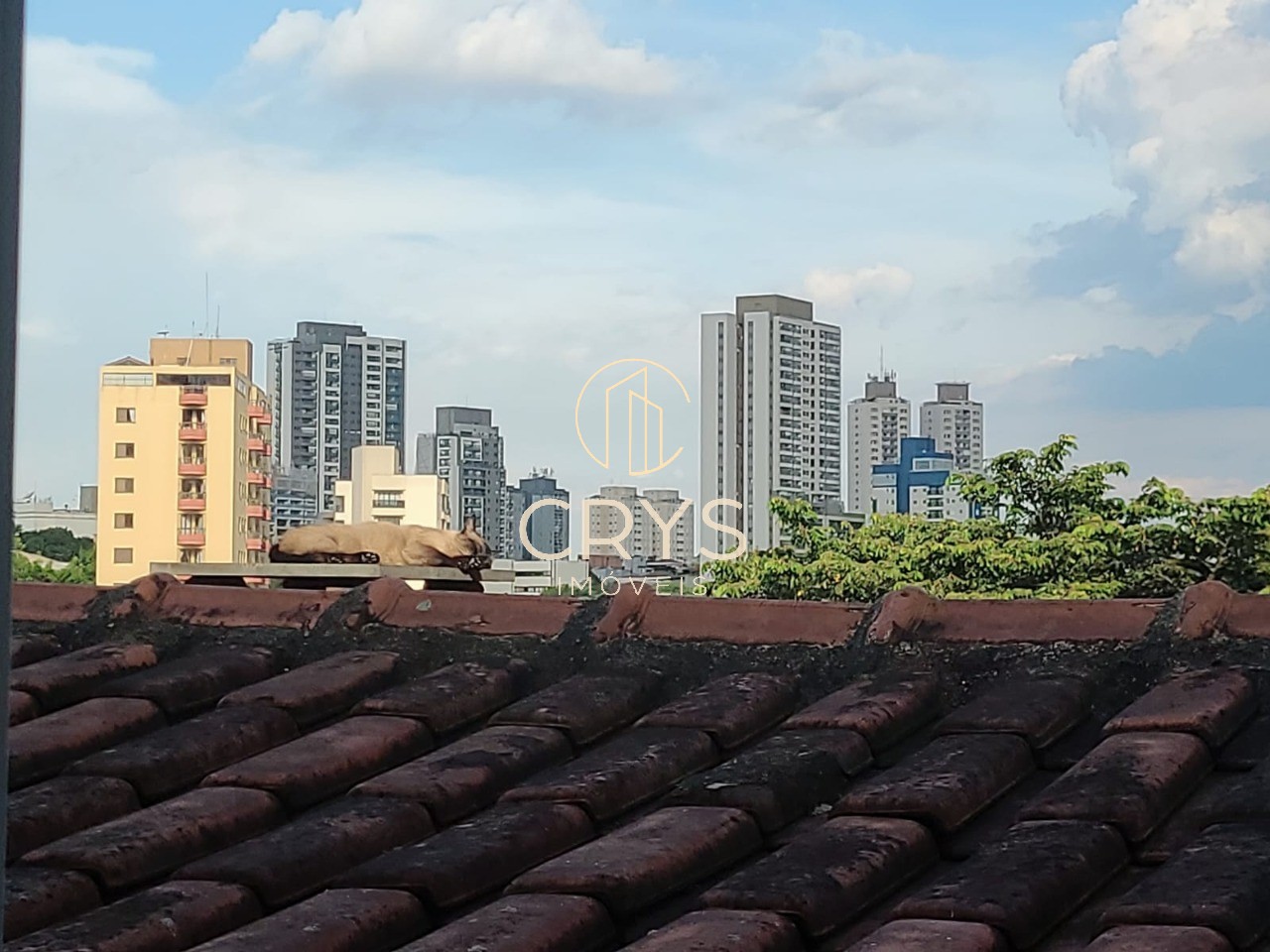 Apartamento, 1 quarto, 29 m² - Foto 19