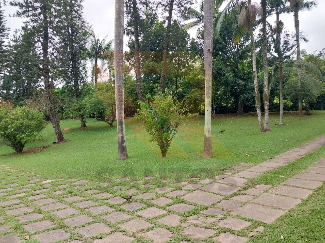 Sítio, 3 quartos - Foto 4