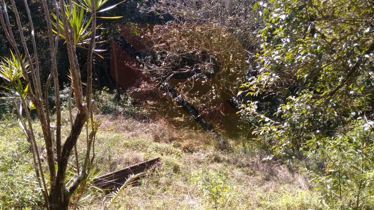 Chácara, 2 quartos - Foto 5