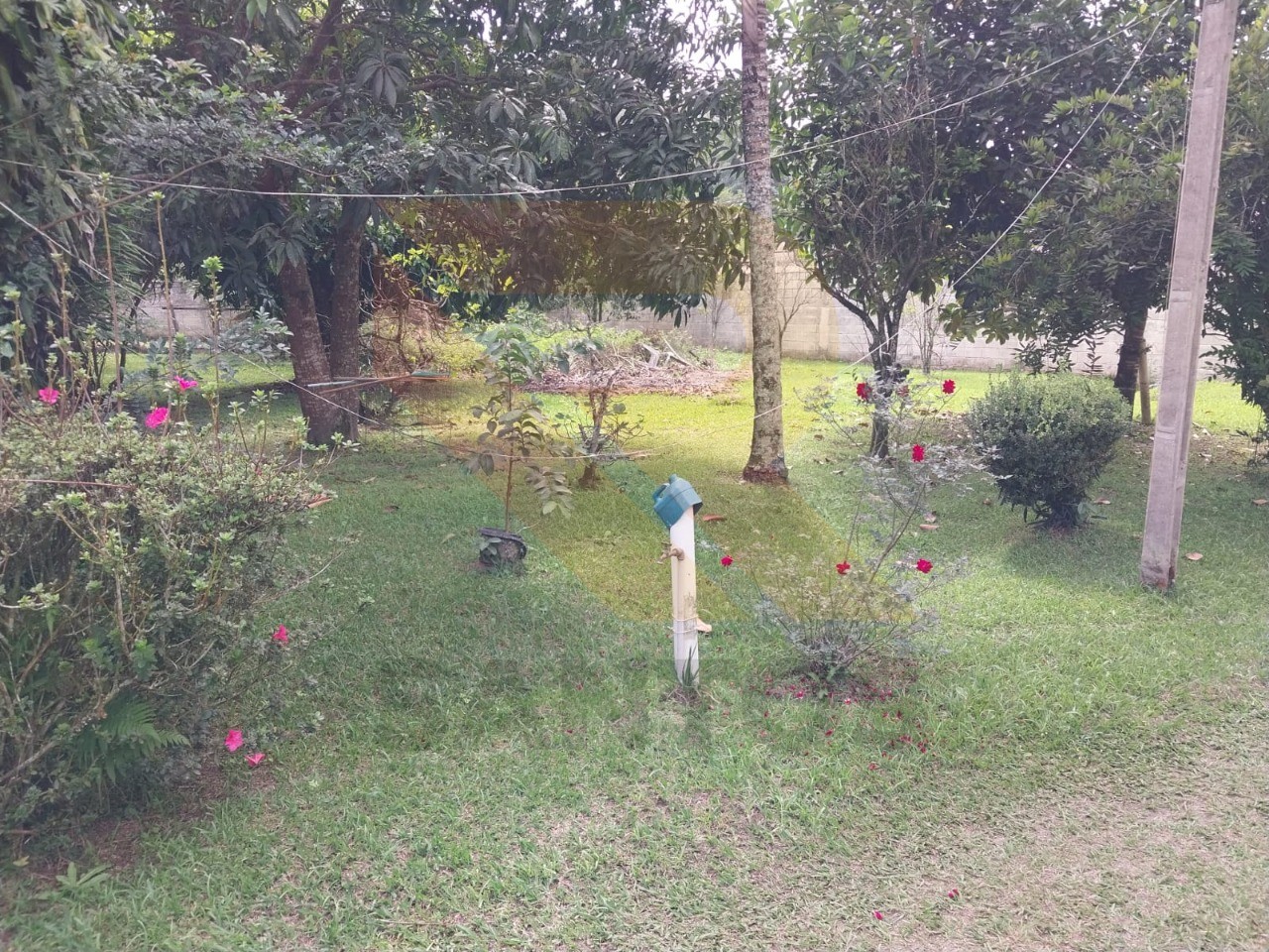 Chácara, 3 quartos - Foto 6