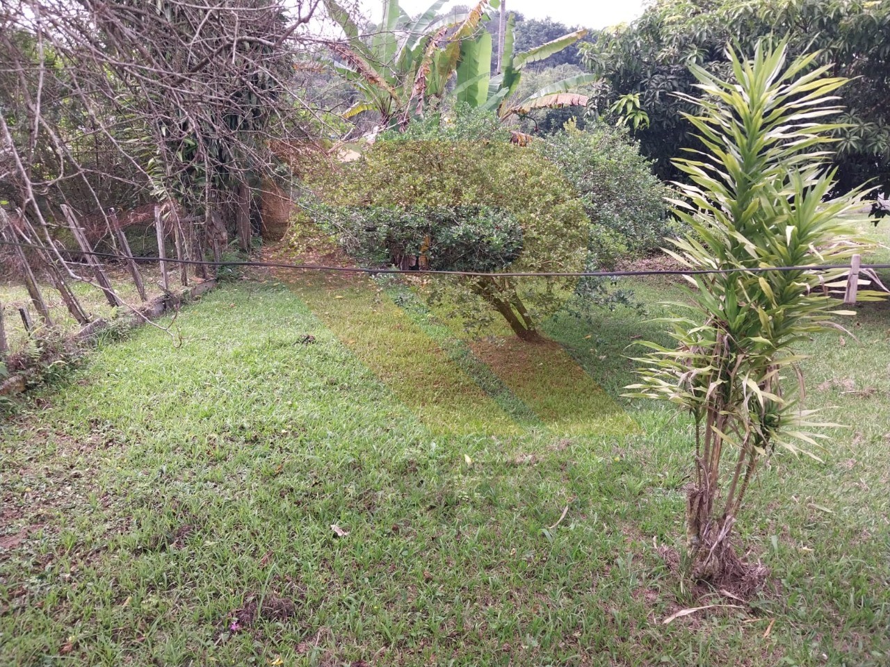 Chácara, 3 quartos - Foto 4