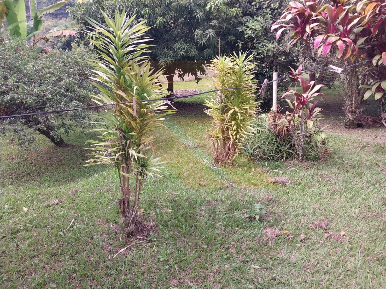 Chácara, 3 quartos - Foto 3
