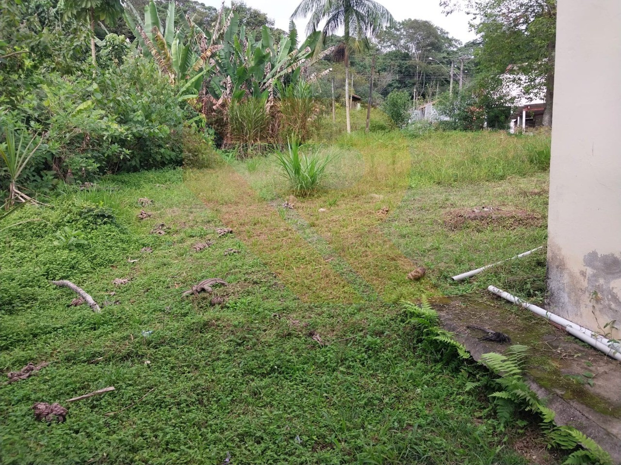 Terreno, 1590 m² - Foto 3