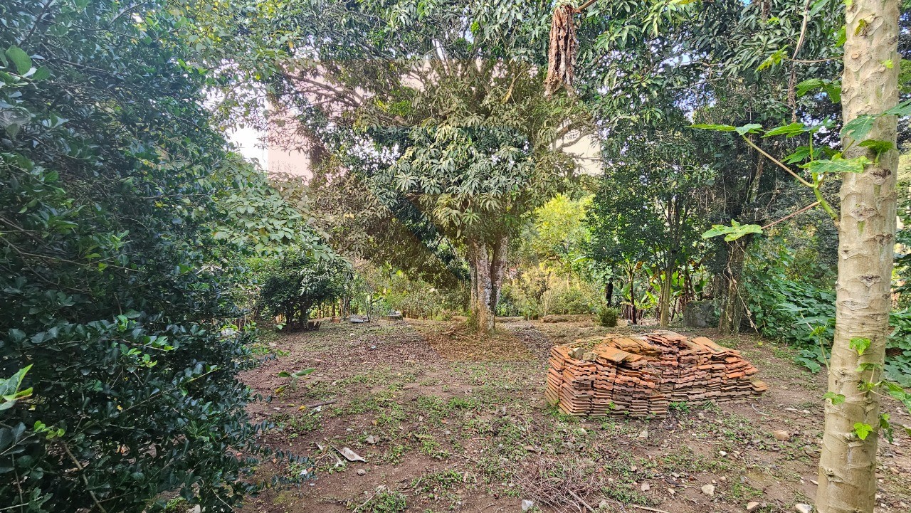 Chácara, 3 quartos - Foto 14