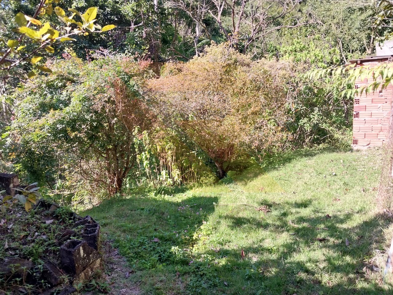 Chácara, 4 quartos - Foto 7
