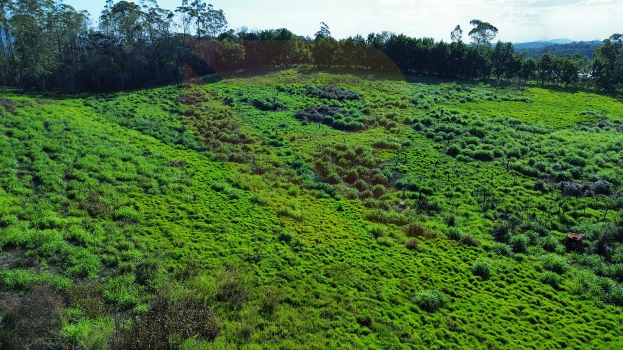 Terreno - Foto 10