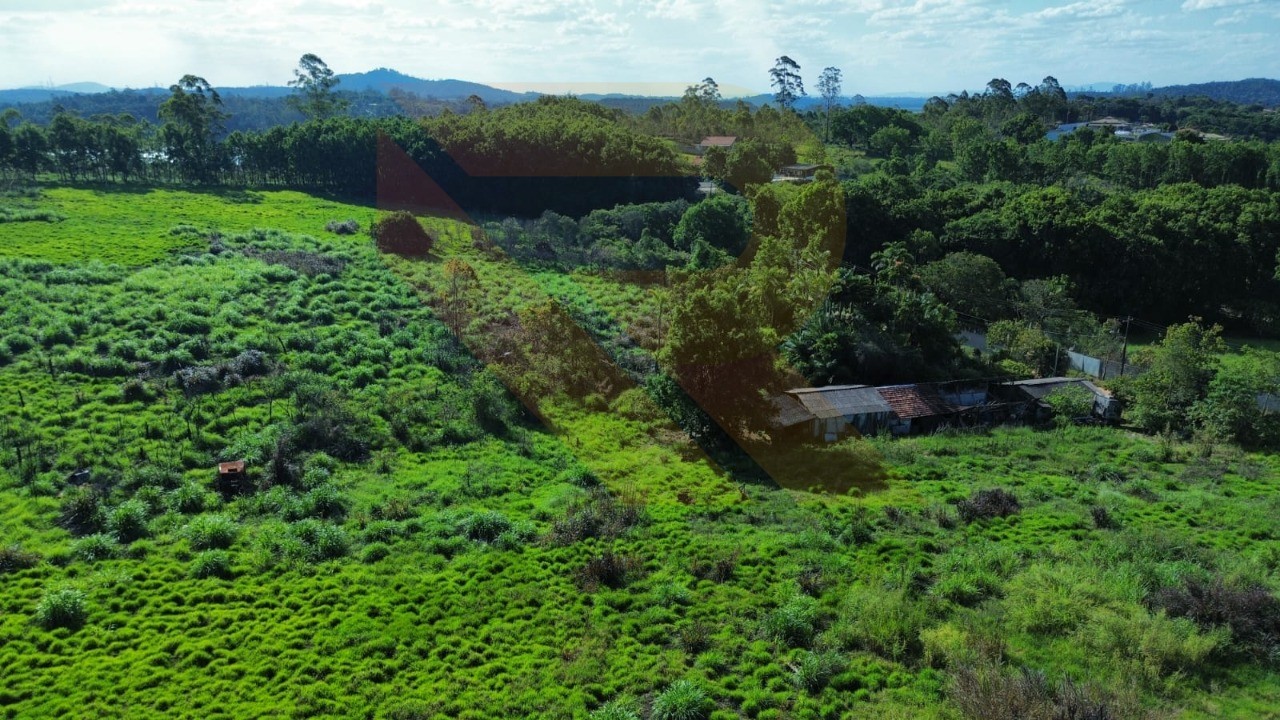 Fazenda - Foto 5