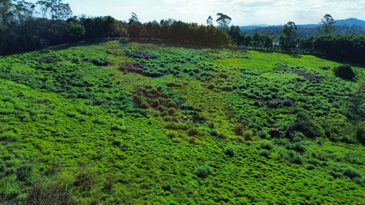 Fazenda - Foto 3