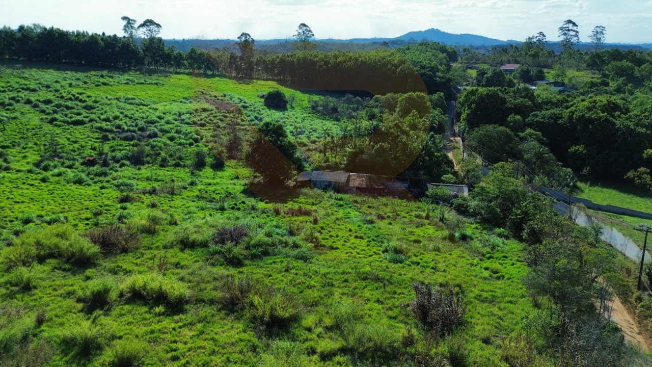 Fazenda - Foto 6