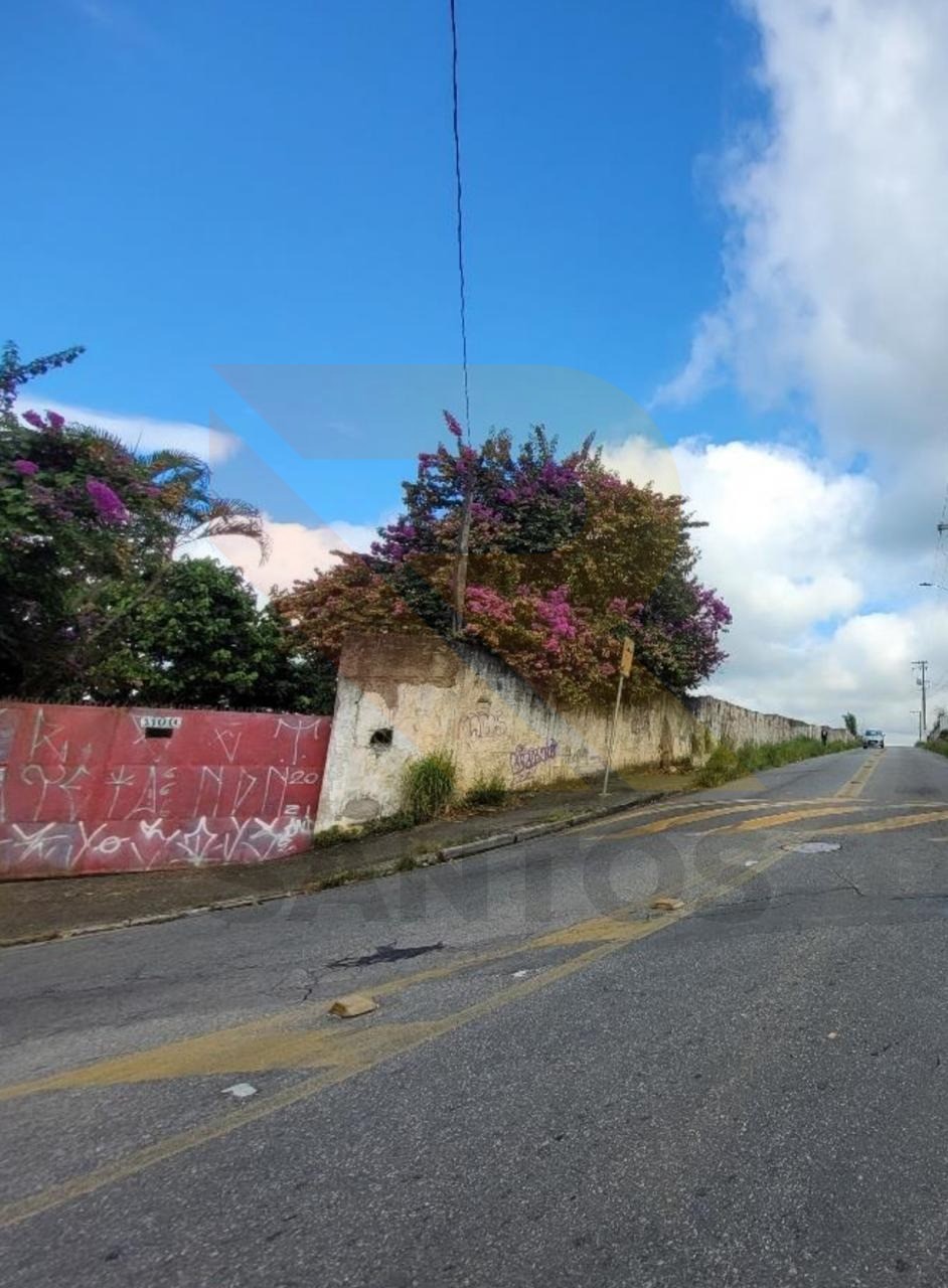 Terreno - Foto 1