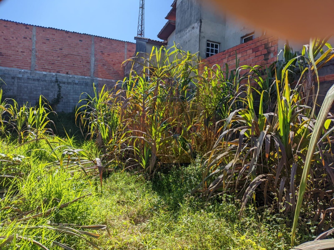 Terreno, 250 m² - Foto 1