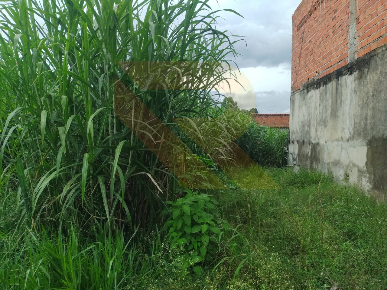Terreno, 250 m² - Foto 3
