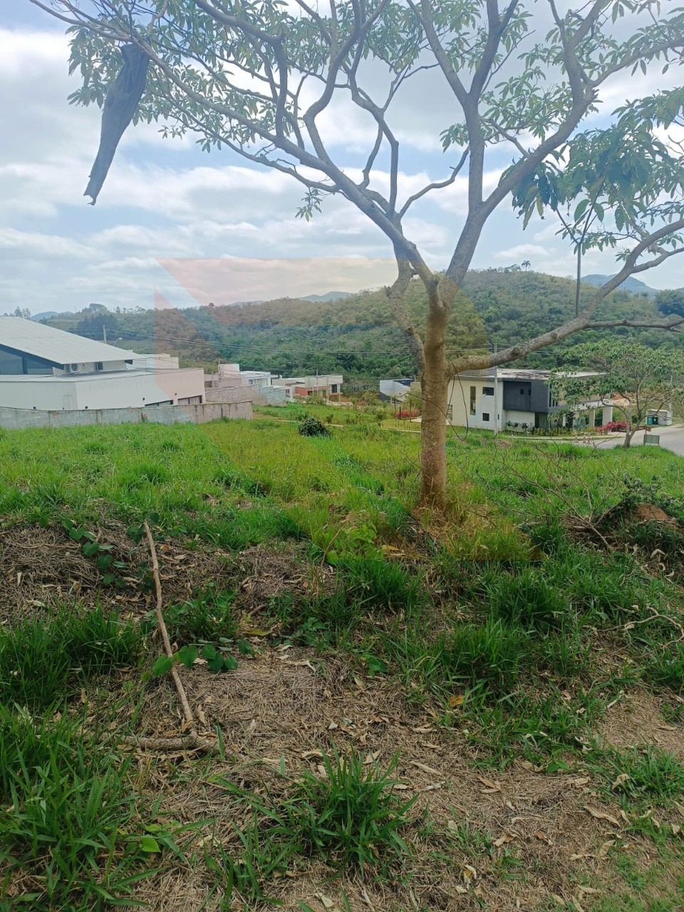 Terreno, 1444 m² - Foto 5
