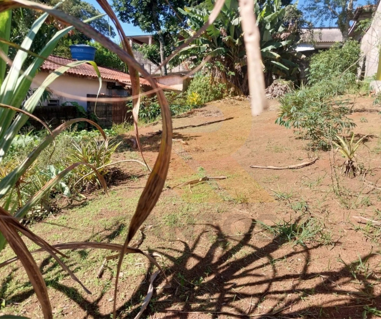 Terreno, 250 m² - Foto 1