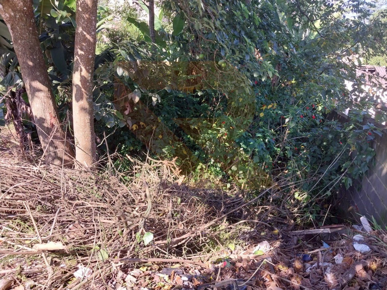 Terreno, 618 m² - Foto 5