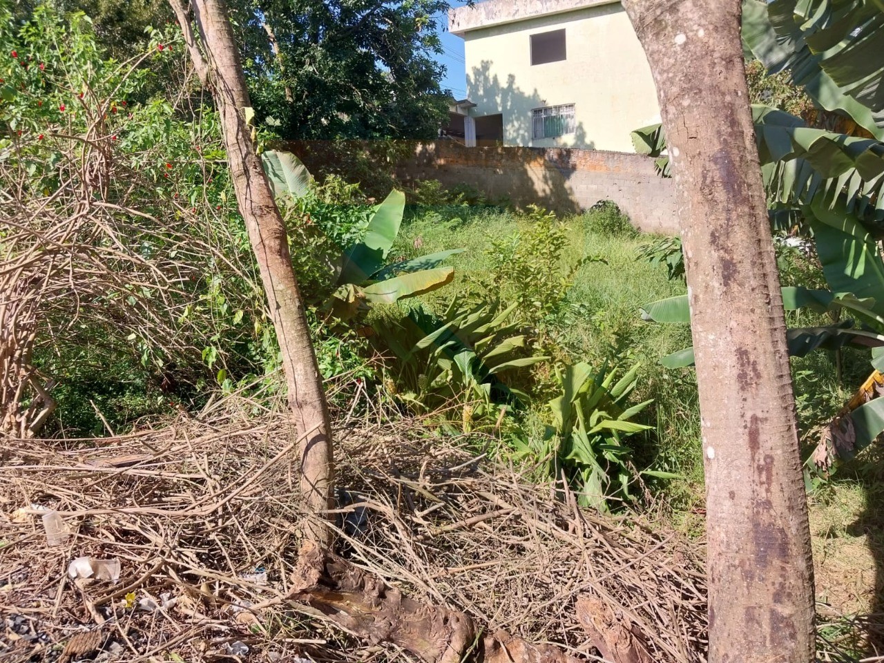 Terreno, 618 m² - Foto 4