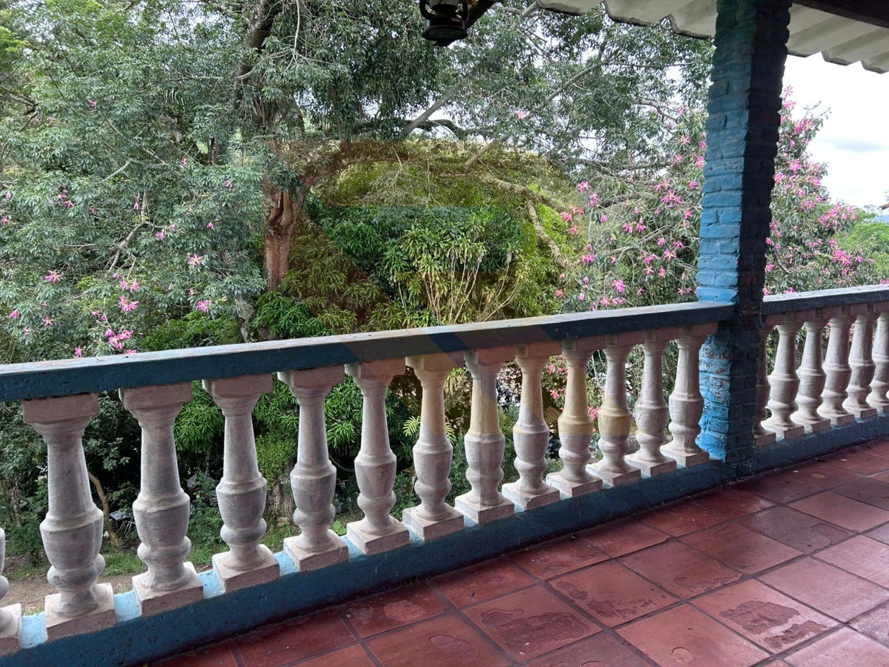 Chácara, 3 quartos - Foto 10