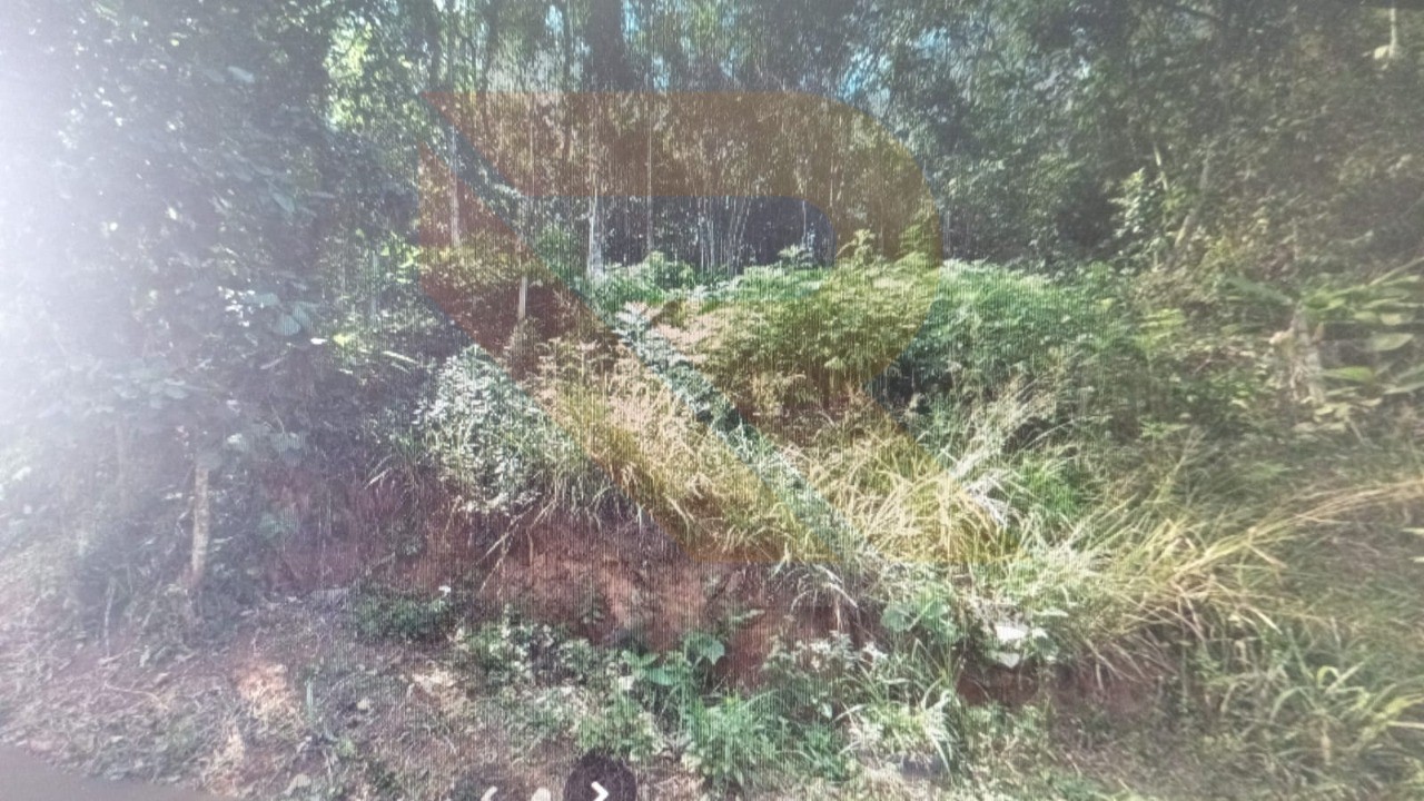 Terreno, 1000 m² - Foto 1