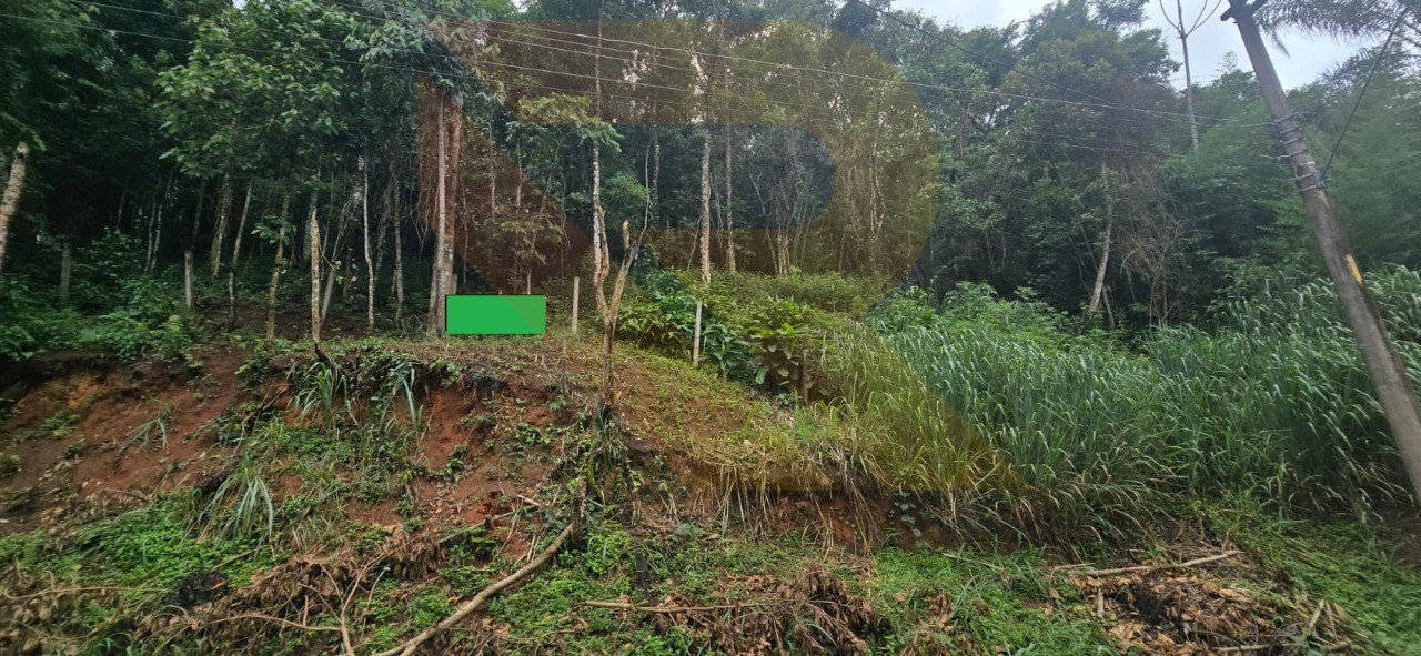 Terreno, 1000 m² - Foto 4