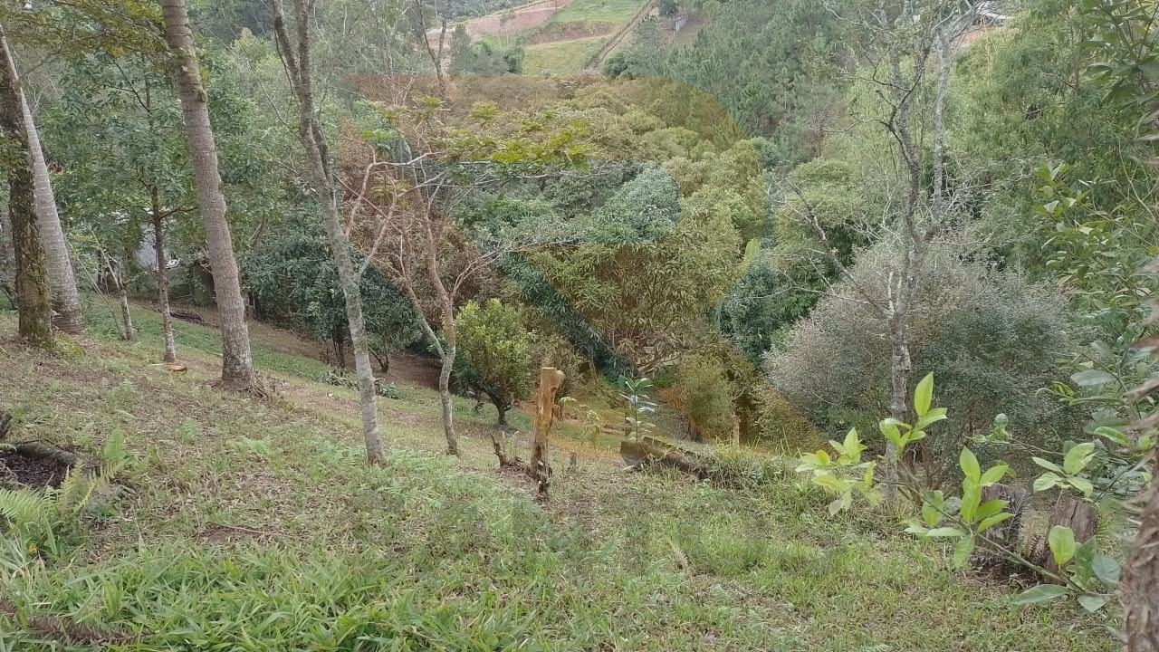 Chácara, 2 quartos - Foto 18