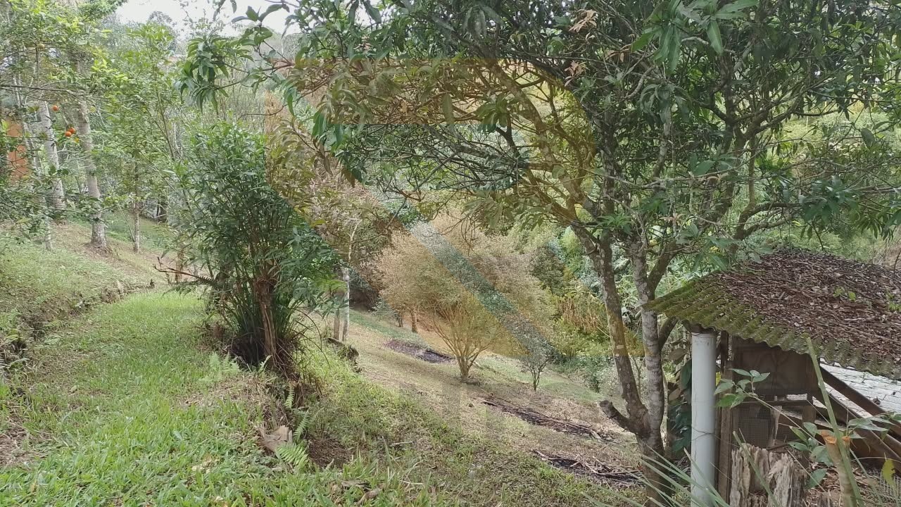 Chácara, 2 quartos - Foto 10