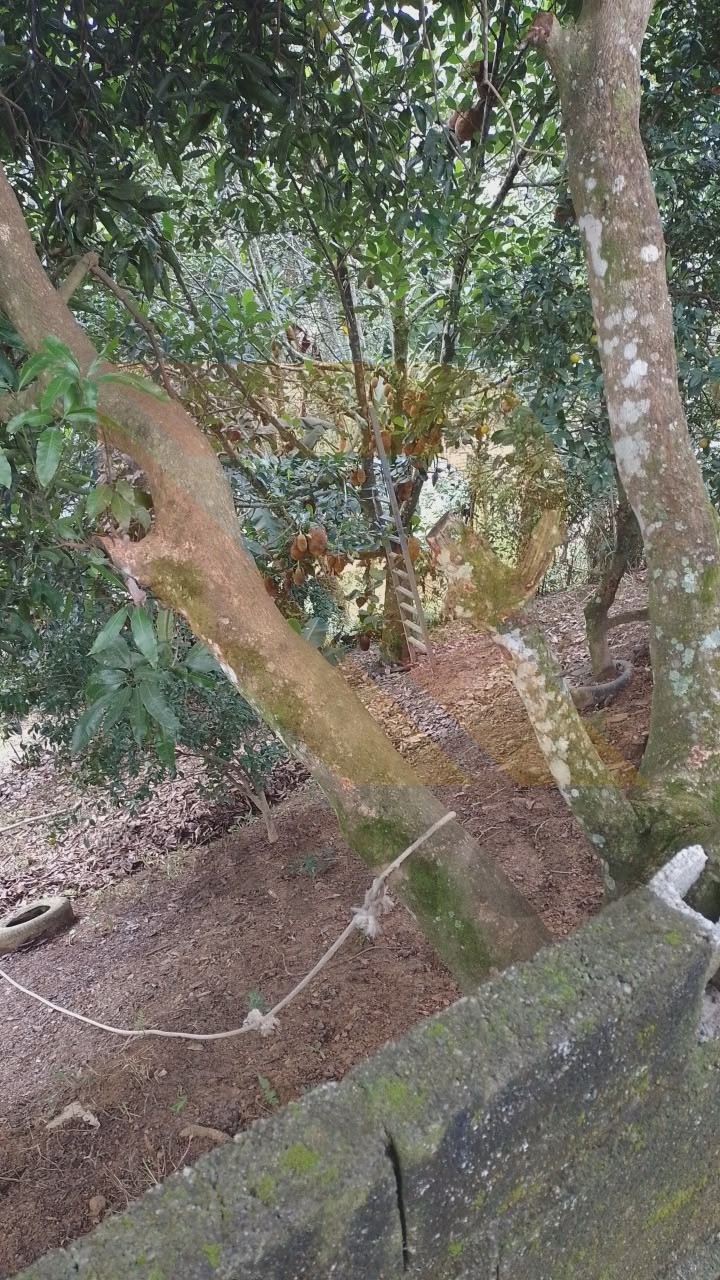 Chácara, 2 quartos - Foto 16