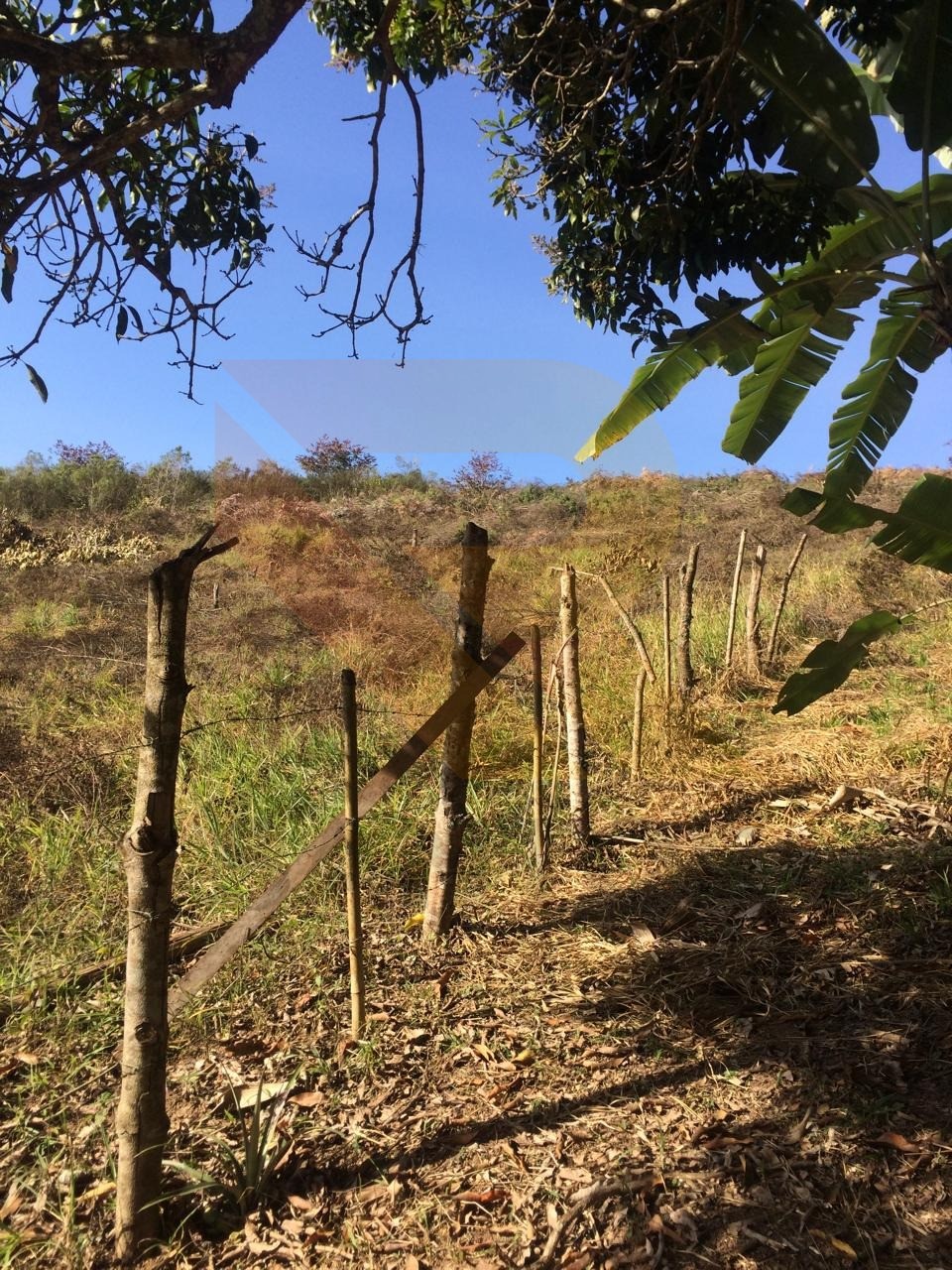Terreno, 4 hectares - Foto 7