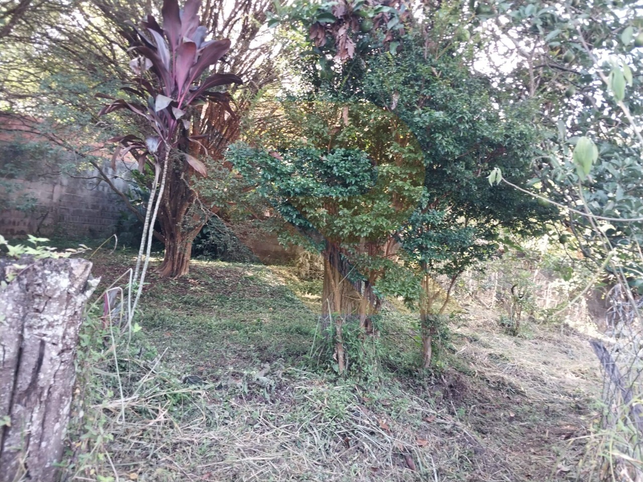 Chácara, 3 quartos - Foto 25